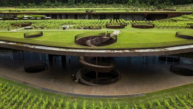 Masked robbers steal wine worth over $5m from top Italian vineyard