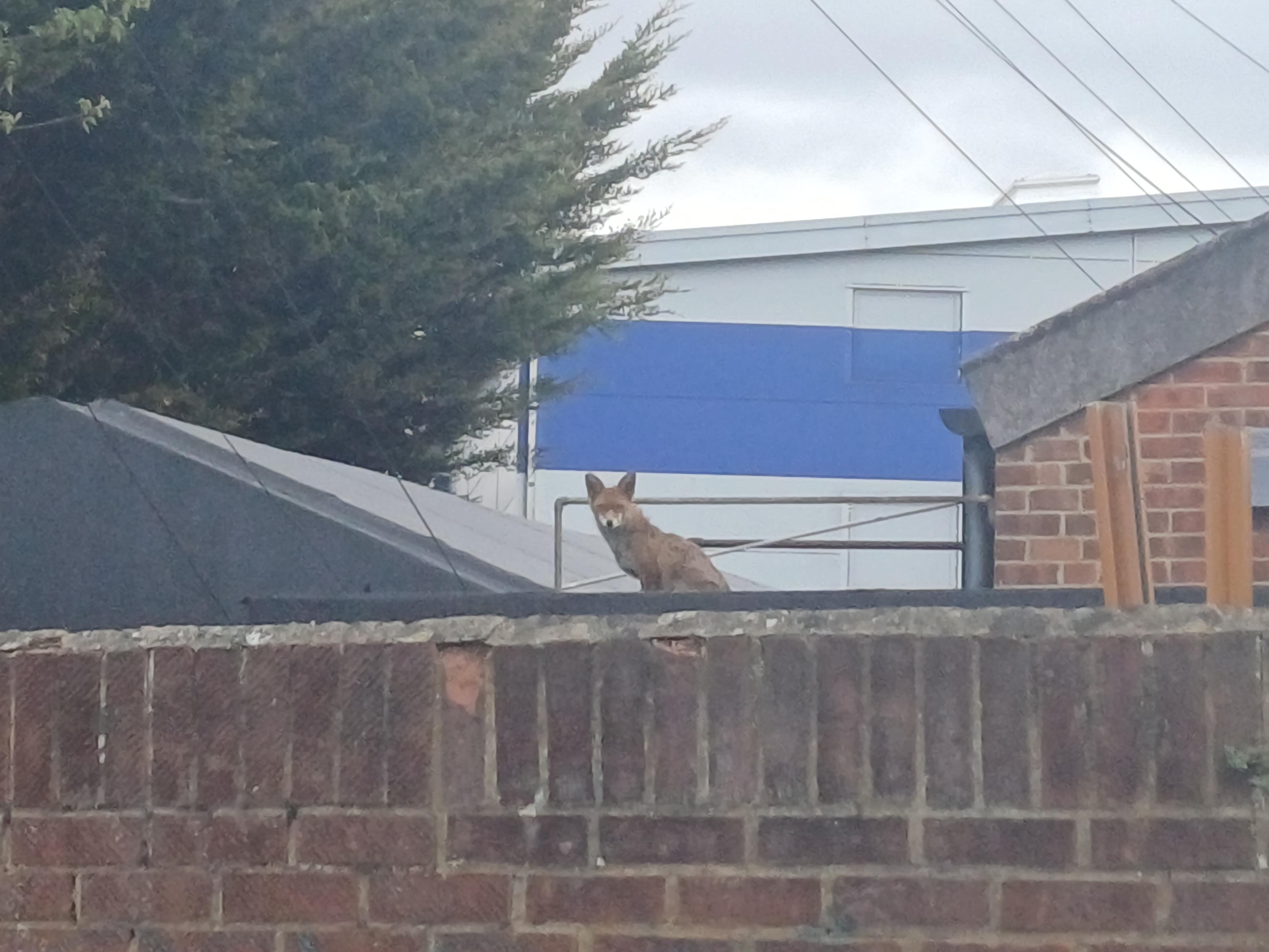 Posted media