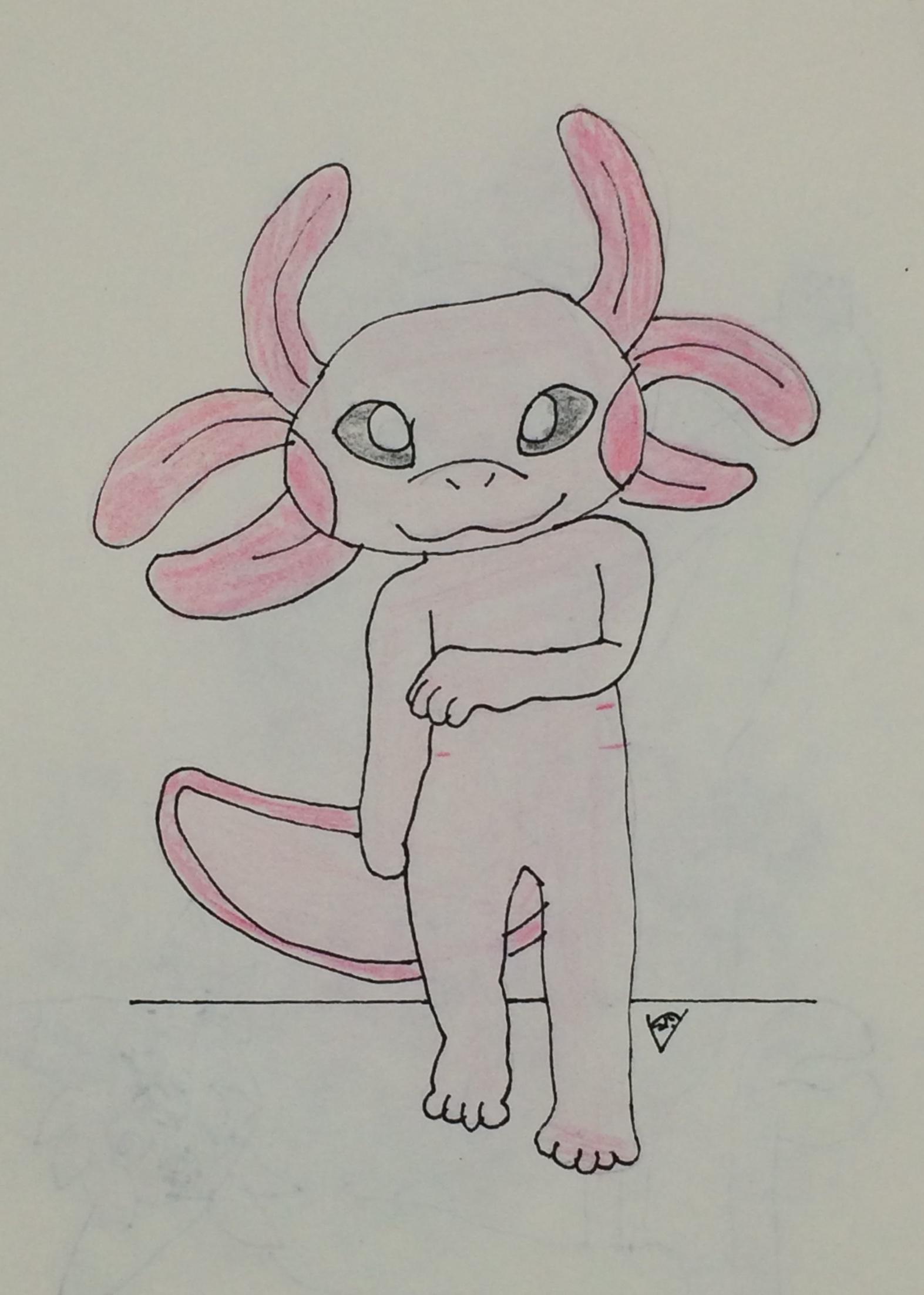 Gummy, an anthropomorphic axolotl, is quiet at first, but becomes friendly when he feels comfortable. He enjoys jokes and spends time helping others, even if it means he forgets to take care of himself.