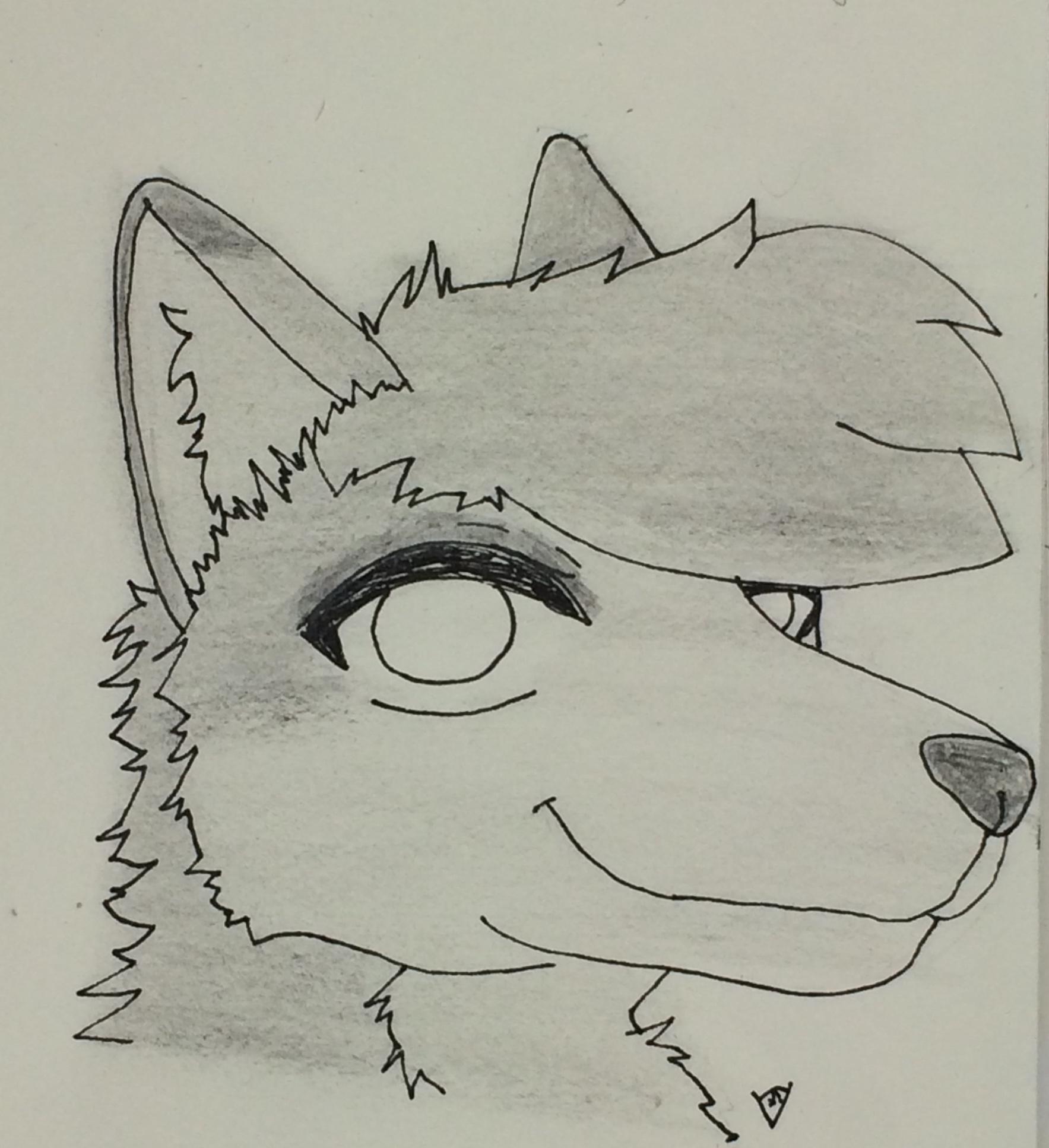An anthropomorphic coyote head-shot in grayscale